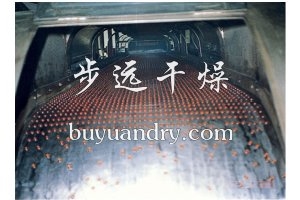 RL系列熔融造粒機
